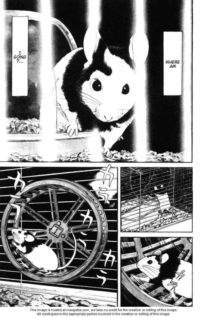 Riman Gambler Mouse Chapter 1 7